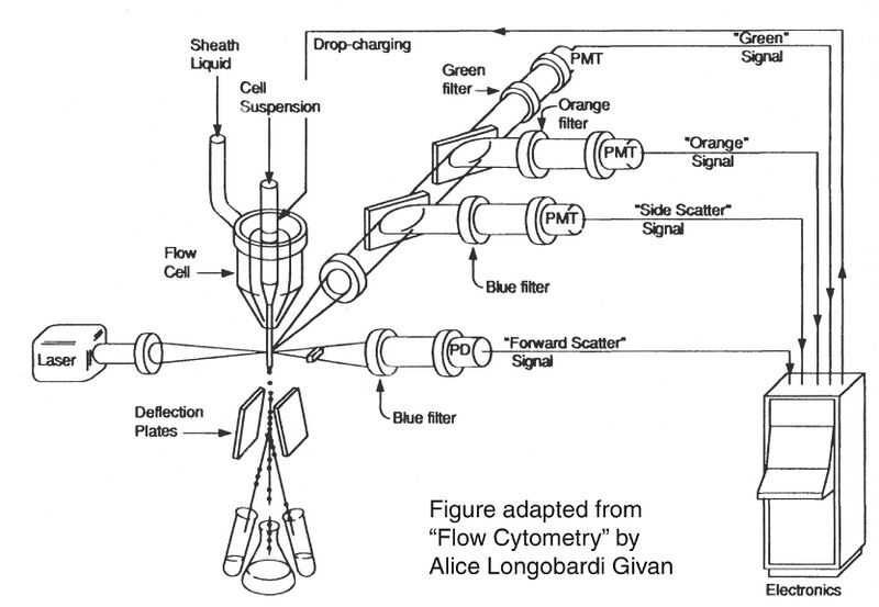 File:Be109flowcytometer.jpg