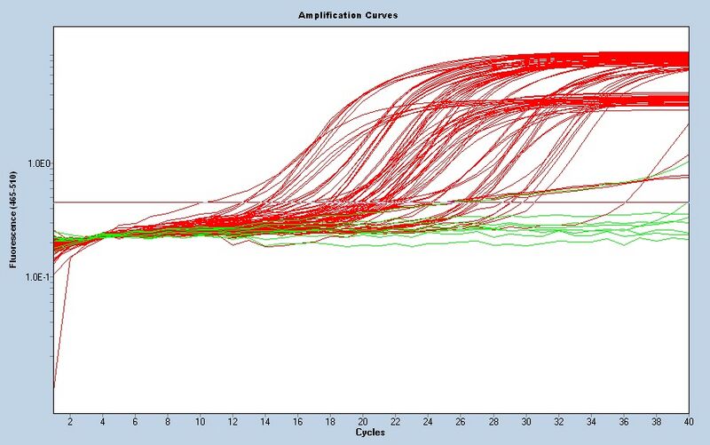 File:S13 M3D5 TR noiseband.jpg