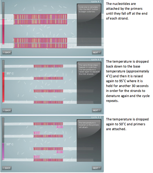 File:Screen Shot 2015-10-14 at 11.05.47 PM.png
