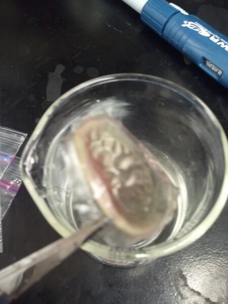 File:2012-10-31 11.19.50.jpg