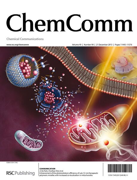File:Chem Comm 2013.jpg