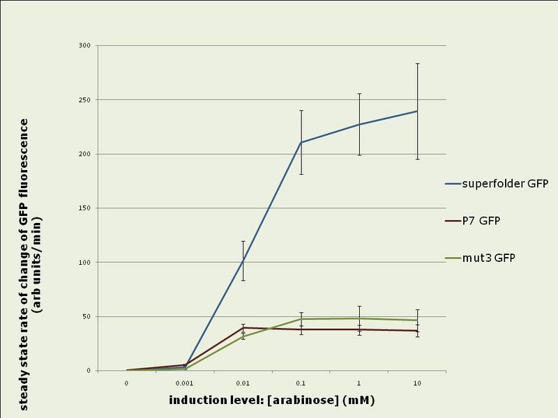 File:In vivo rates 1.jpg