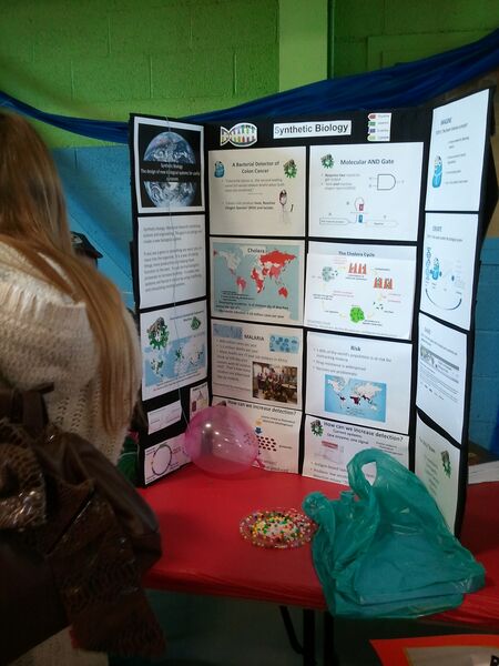 File:Kid's Science Palooza 3.jpg