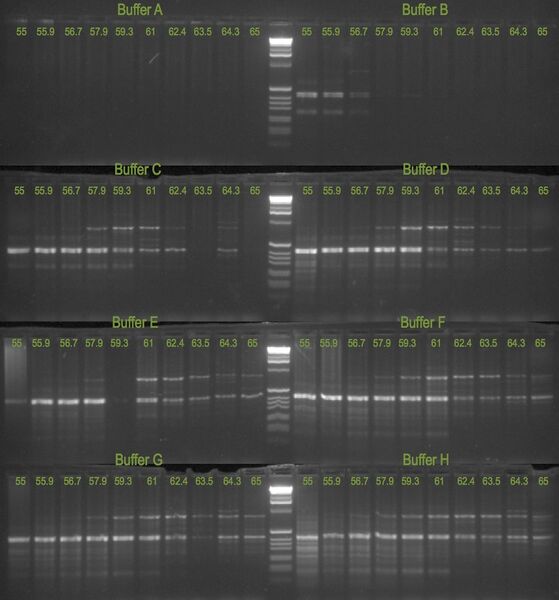 File:20110610 Gel2.jpg