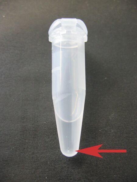 File:DNA EtOH precipitation small pellet.jpg