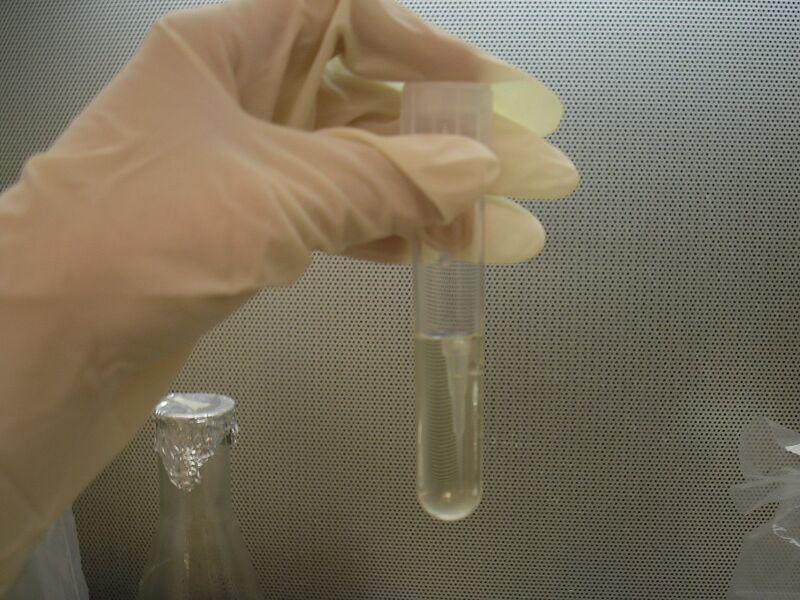 File:Falcon tube.jpg