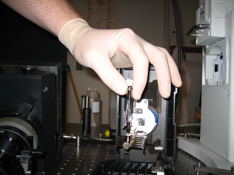 File:HgBulb Bulb in.JPG