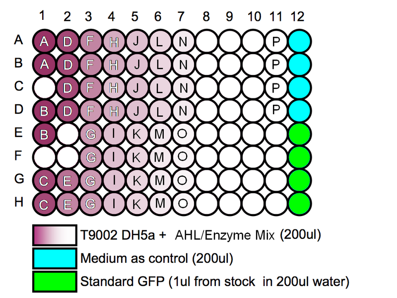 File:IGEM IMPERIAL Biosensor 96WellPlate.png