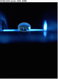 Negative Control Image