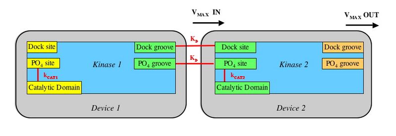 File:PTL fig2.JPG