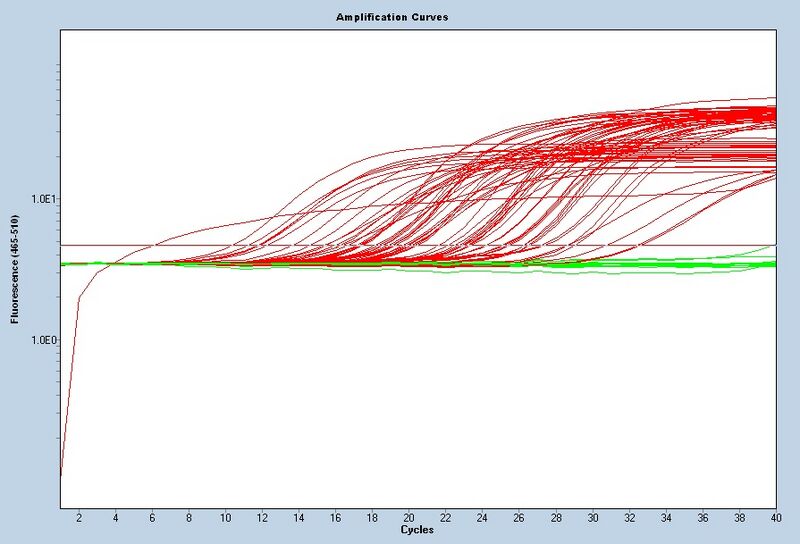 File:S12 M3D5 WF noiseband.jpg
