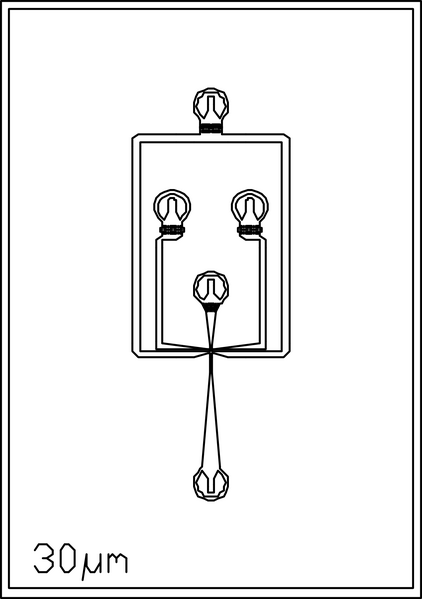 File:30um 4 inlets.png