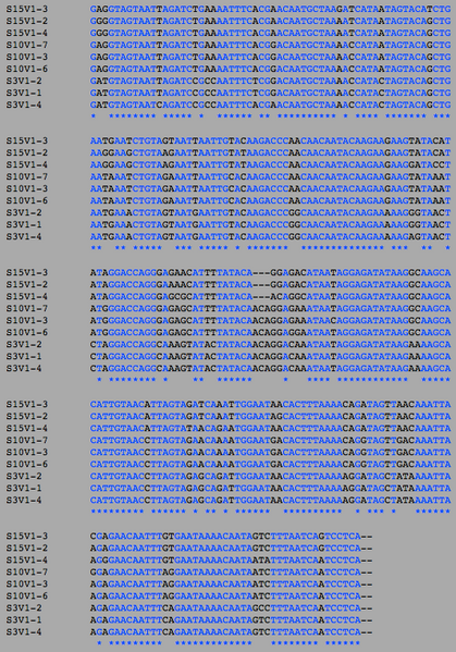File:AIDSDiagnosedV1SA DNA.png