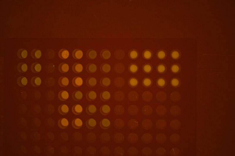 File:Last 4 Wells No Wash.jpg