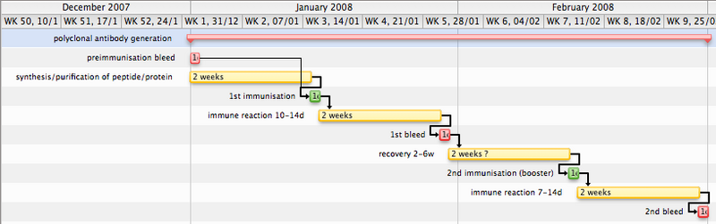 File:Polyclonal ab overview.png