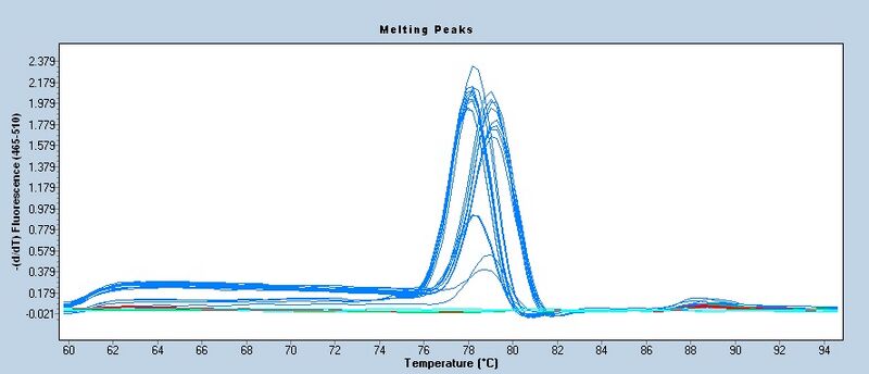 File:S13 M3D5 WF CNI-melt.jpg