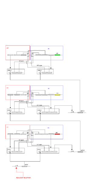 File:Simon binary model gif.GIF