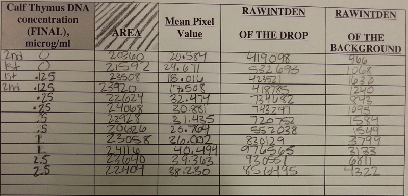 File:20131106 143842.png