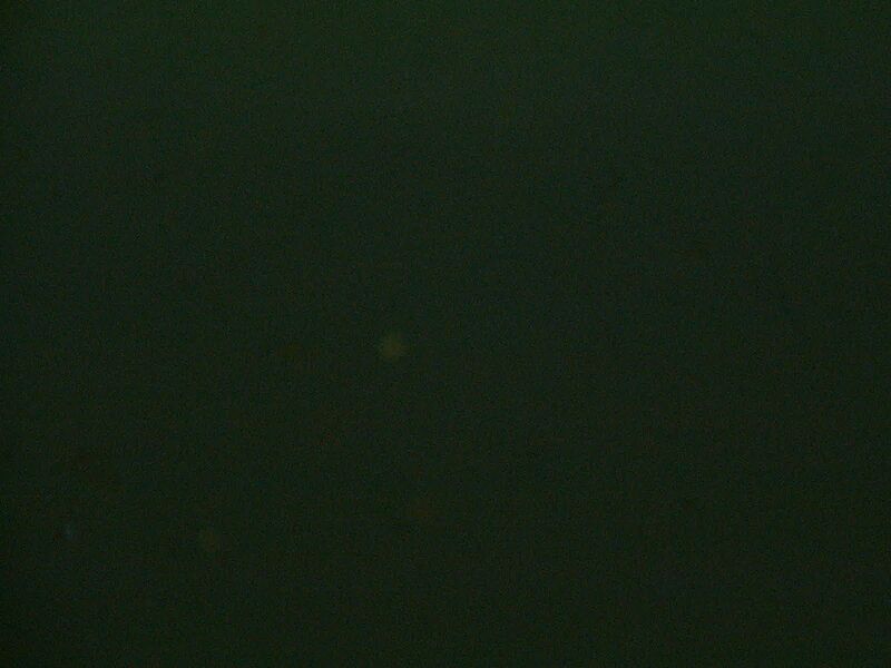 File:Figure- Blue Group.