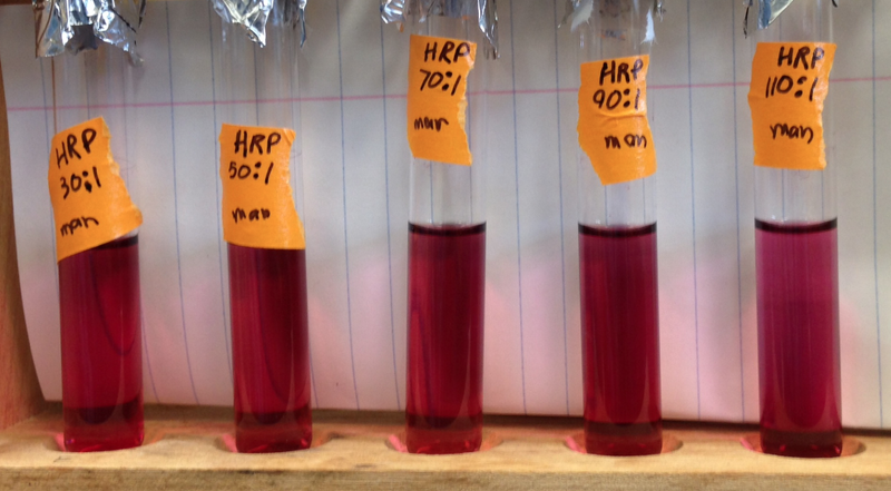 File:Oct 23 HRP AuNP set 1.png