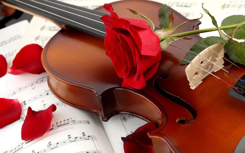 File:Violin-red-rose.jpg