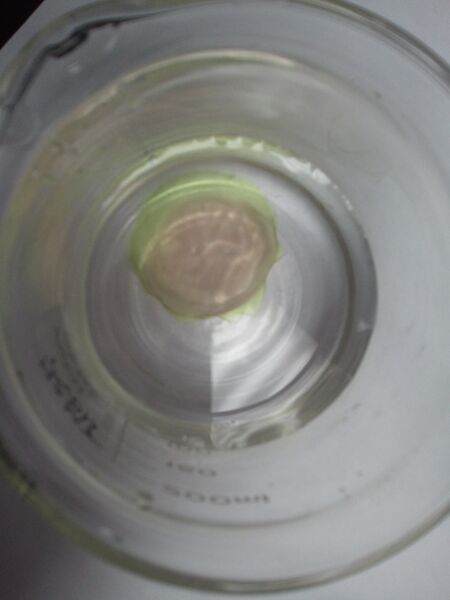 File:2012-10-31 11.21.49.jpg