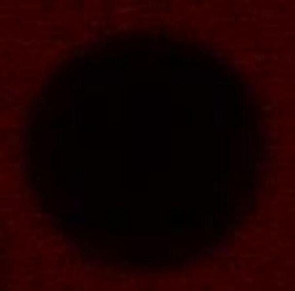 File:BM12 nanosaurs (3)alexa647catchercoomp(EXCITED).jpg