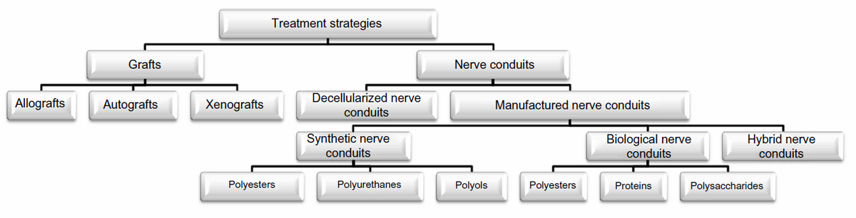 Various treatment strategies for nerve injuries in the peripheral nervous system [9]