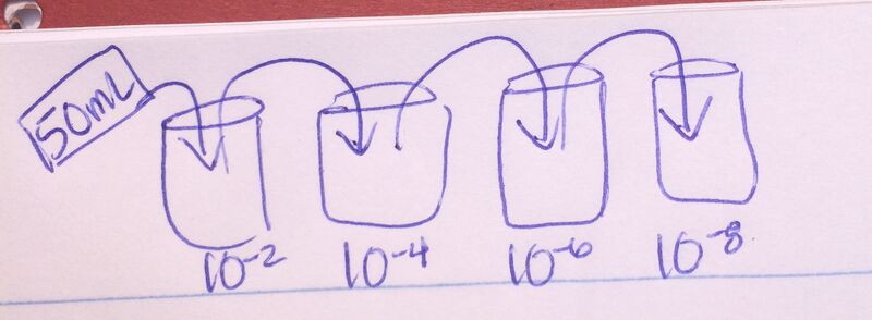 File:Dilution2 2.jpg