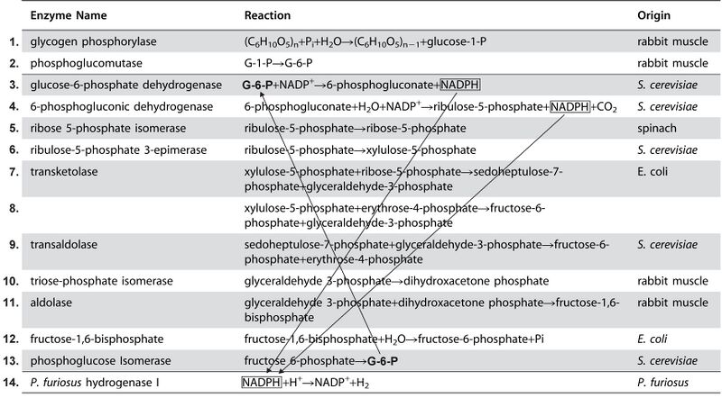File:Enzymes4.jpg