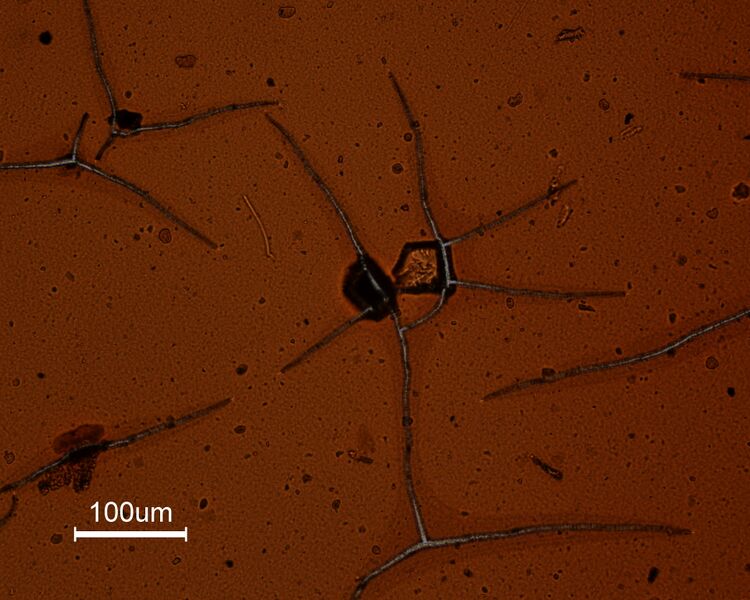 File:F13M3 Cracked-film-example.jpg