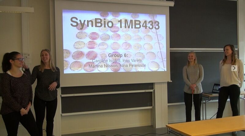 File:Group 6 Lena's photo.jpg