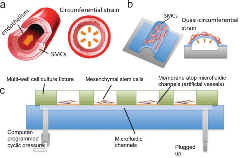 File:Microfluidic device 3.jpg