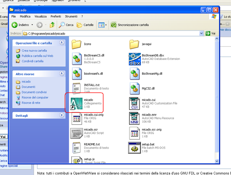 File:Start micado.PNG