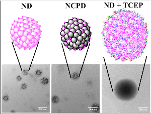 File:Xu lab NCPD.tif