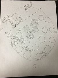 Drawing of the transect