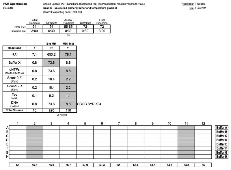 File:20110606 PCR.jpg