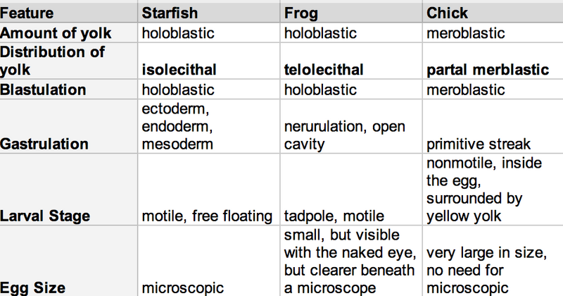 File:Embryo Chart Figure 1.jpg