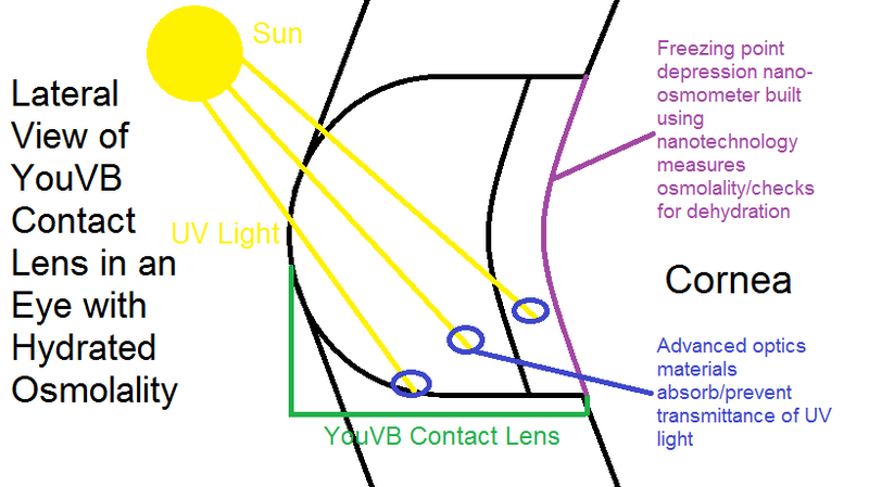 File:Lab 3B Hydrated YouVB Diagram.png