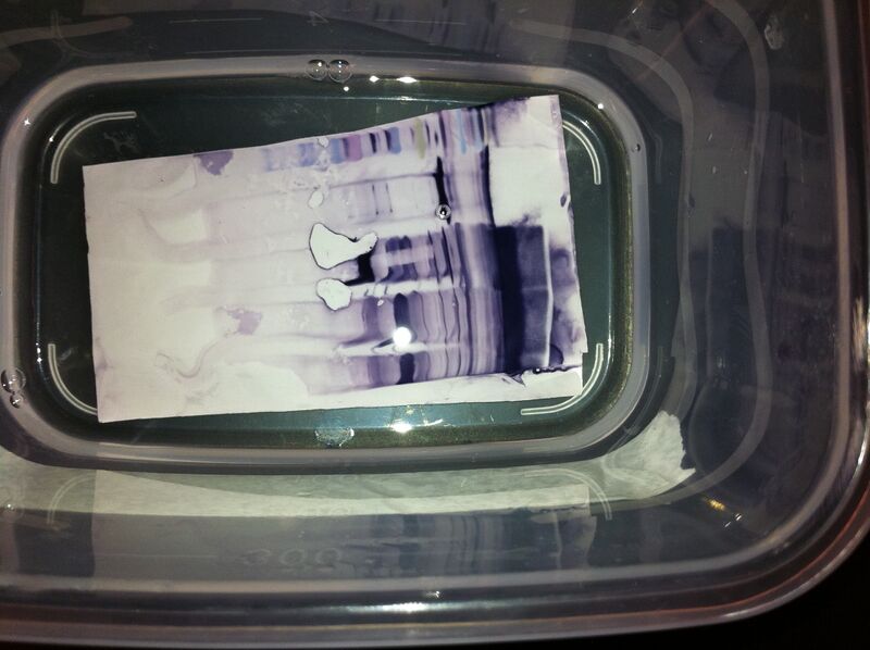 File:Silver Western.jpg