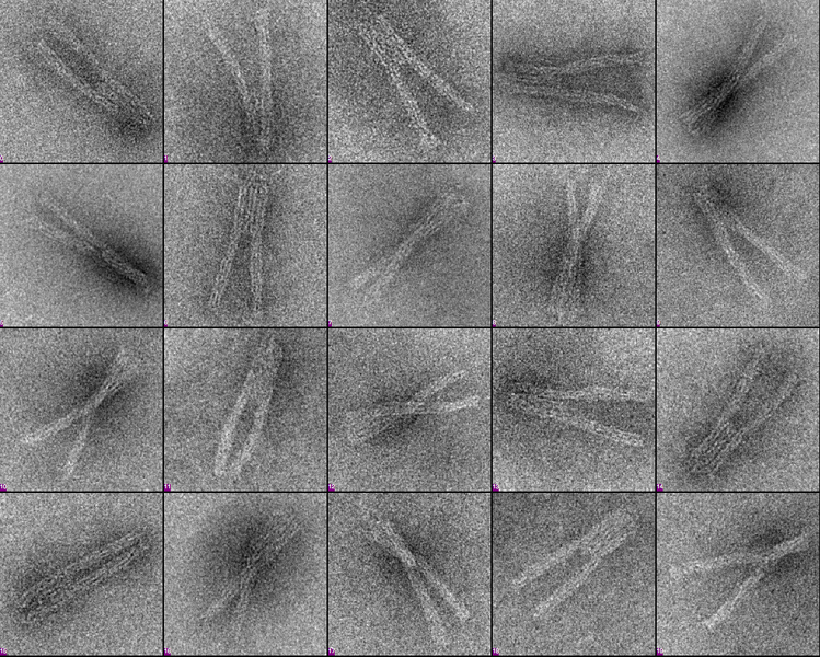 File:TUM theU twistcontrol galery.png