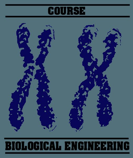 File:Back akbryanColor.jpg