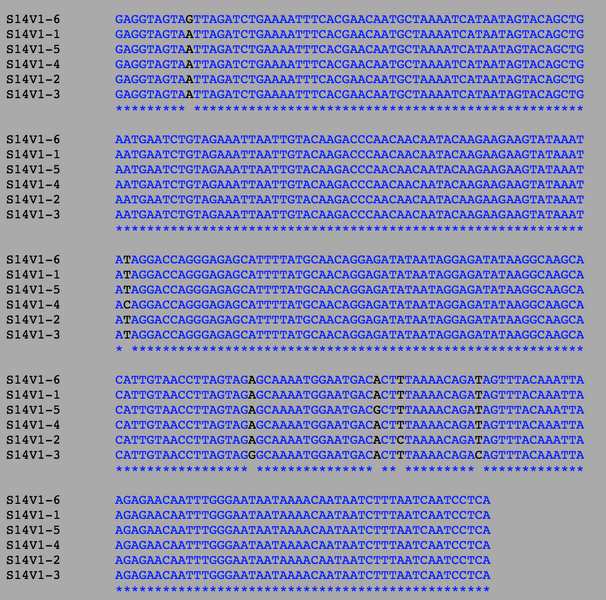 File:Courtney L. Merriam Subject 14.png