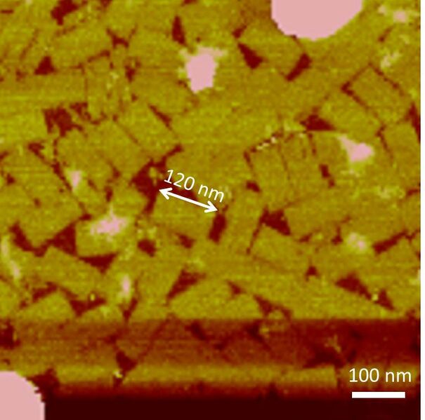 File:DNA origami.jpg