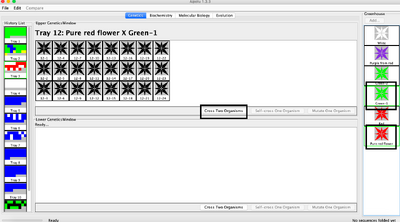 result of pure green and pure red
