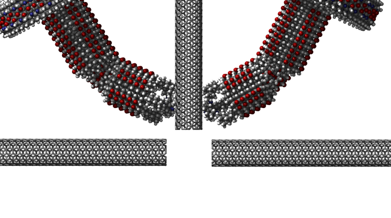 File:Future NEMbotics.png