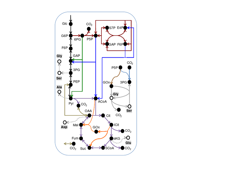 File:Microbialcellfactories-zheng-et-al-2013-fig3.svg
