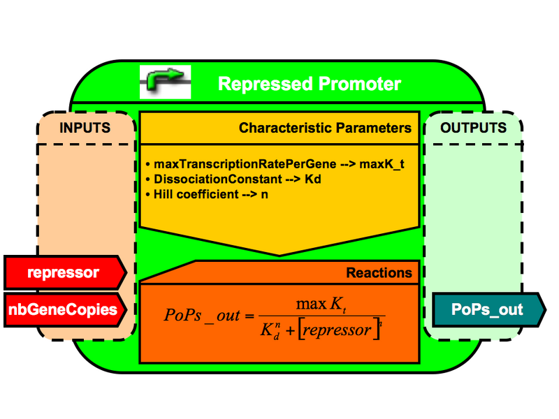 File:VBB RepressedPromoter.png