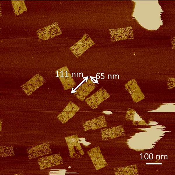 File:D DNA origami.jpg