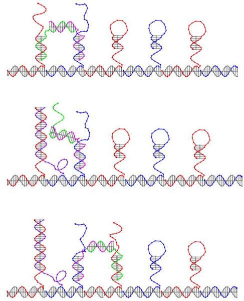 File:FirstStep.jpg